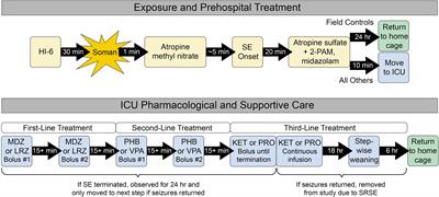 Refractory and Super-Refractory Status Epilepticus in Nerve Agent-Poisoned Rats Following Application of Standard Clinical Treatment Guidelines